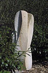 Die Schüchterne